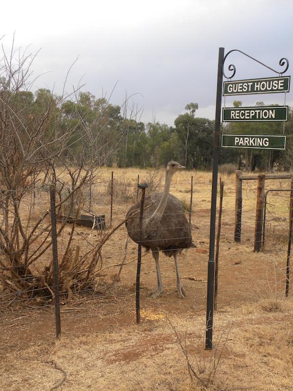 Olive Hill Country Lodge Bloemfontein Exteriör bild